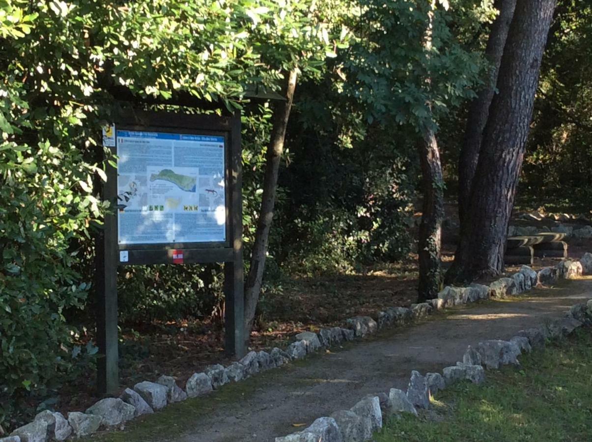 Casa Vacanze All'Orizzonte 두이노 외부 사진